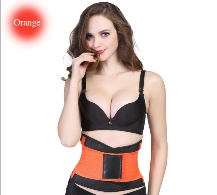Supportive Workout Waist Belt