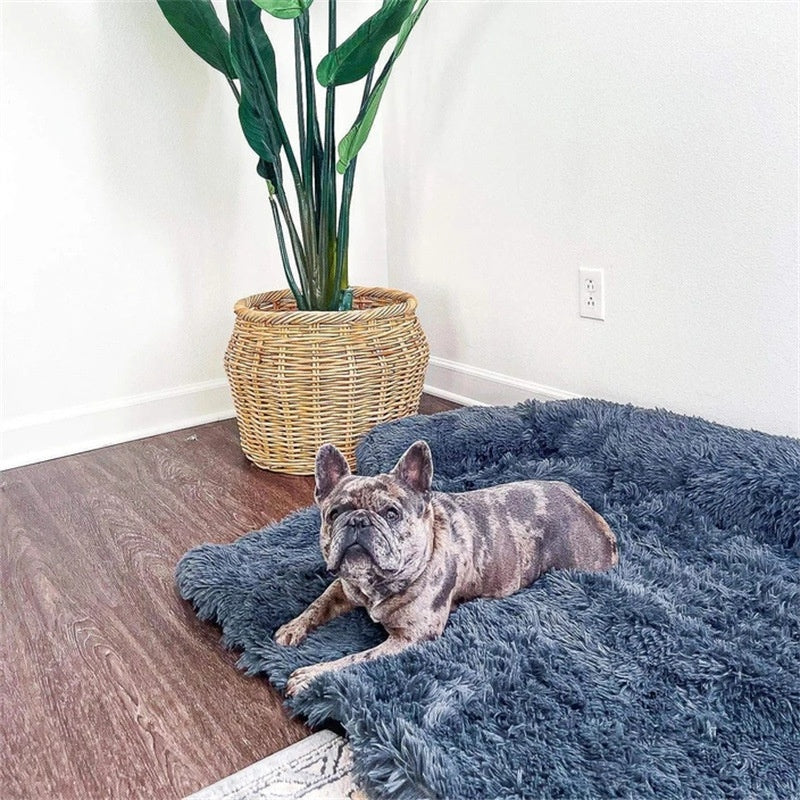 Dog Bed