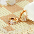 European And American Personalized Square Zircon Earrings