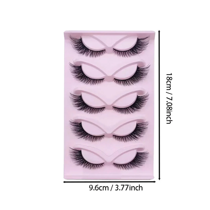 color:5 Pairs